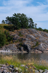 Fototapeta na wymiar Small trees growing on top of a rocky cliff in the Finnish archipelago