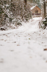 Fototapety na wymiar - Fototapeta24.pl