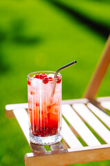 Alcoholic and non-alcoholic summer drinks with ice cubes of lemon, lime, fruits and mint. Summer holiday tropical concept.