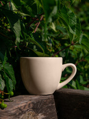 White porcelain tea cup mockup on wooden balcony green wild grapes country sityle. Coffee Mug template warm healthy drink. Hot brewed natural beverage.Cozy sweet home weekend morning breakfast cottage