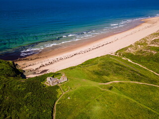 Dunes d'Hattainville (Manche)