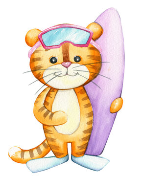 Cute tiger cub, with a surfboard, flippers and a mask. Watercolor drawing of an animal, on an isolated background, cartoon style.