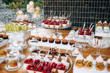 Candy bar. Beautiful multi colored decorated candy table baked sweet tasty cupcake cupcakes on a party. Beautifully decorated catering banquet table with different candy sweet delicacy.