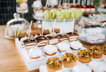 Candy bar. Beautiful multi colored decorated candy table baked sweet tasty cupcake cupcakes on a party. Beautifully decorated catering banquet table with different candy sweet delicacy.
