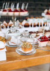 Delicious candy bar at luxury wedding reception. Exclusive expensive catering. table with modern desserts, cupcakes.