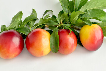Close-up of four plums with green leaves lie in a row on the table.