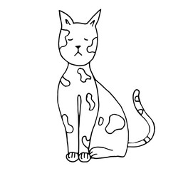 cats drawn with a black outline, isolated on a white background. kittens in the doodle style