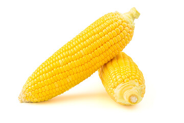 sweet corns isolated on white background