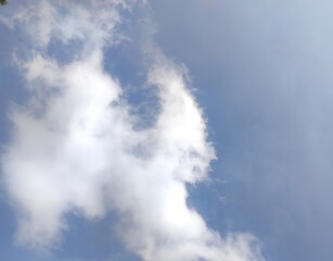 Fototapeta na wymiar Photo of white cloud and blue sky.