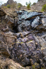 三ツ峠山登山道の風景 A view of the Mt. Mitsutoge trail