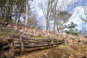 三ツ峠山登山道の風景 A view of the Mt. Mitsutoge trail