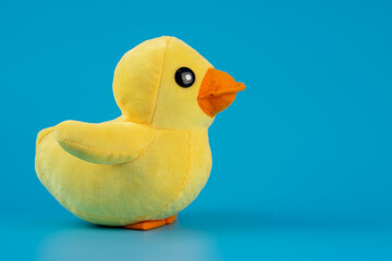 Yellow plush duck toy isolated on blue background.