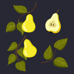 yellow pear with leaves