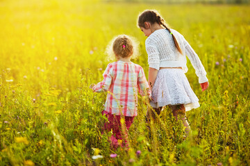 Little girls are walking in a blooming meadow