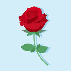Hand-drawn red rose flat design icon style on blue background. vector illustration.