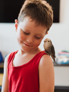 CHILD WITH HIS PET. AGAPORNI BIRD
