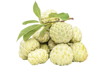 Fresh plump pile Sugar apple (custard apple, Annona, sweetsop)  with branches and green leaf popular Thailand. exotic tropical Thai annona, cherimoya fruit, healthy food. isolated on white background.