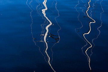 Reflection of yacht masts in the water.