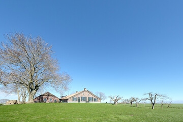 Obraz premium Kampereiland, Overijssel Province, The Netherlands