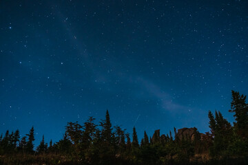 Blue starry night sky over pine trees on the top of mountain