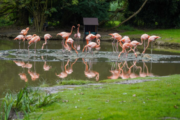 Sortie au zoo