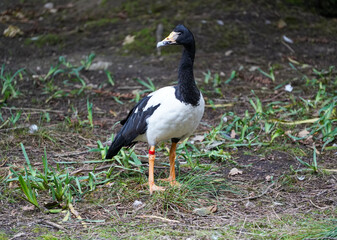 Sortie au zoo