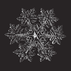 Snowflake isolated on black background. Vector illustration based on real snow crystal at high magnification: elegant stellar dendrite with six thin, fragile arms, ornate shape and complex details.