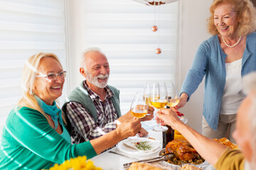 Elderly friends making a toast for Thanksgiving dinner