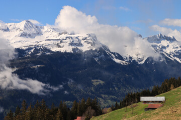 Fototapeta na wymiar Schweizer Alpenromantik; Blick von der Planalp (Brienzer Rothorn) zum Faulhorn