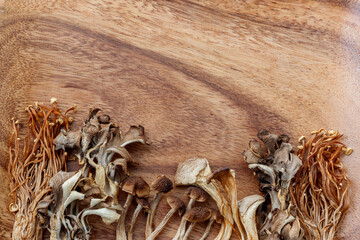 日本のいろいろな乾燥キノコ
