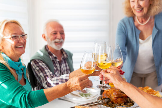 Senior Friends Making A Toast For Thanksgiving Dinner