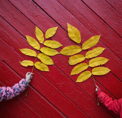 two children's hands are holding big yellow autumn leaves on a burgundy - red wooden background. Autumn mood, walking with children, observing nature