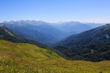 Fototapeta premium alpine meadows and forest in mountain valley landscape in Georgia