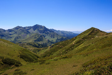 Fototapeta na wymiar alpine meadows on the caucasus mounains valley in Abkhazia