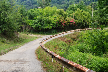 mountain road with rose bush and old rusty fence
