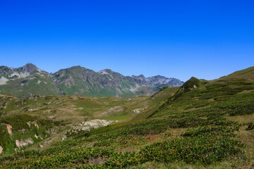 The Main Caucasian Ridge and alpine meadows with rhododendrones
