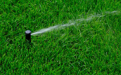 Automatic garden irrigation system watering lawn. Savings of water from sprinkler irrigation system with adjustable head. Automation for lawn irrigation, gardening, soccer fields or golf courses. - obrazy, fototapety, plakaty