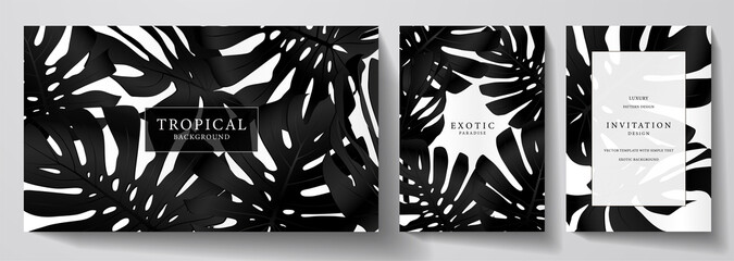 Exotic black and white banner, cover design set. Floral background with tropical pattern of leaf monstera plant. Premium horizontal, vertical vector template for invitation, luxury voucher, gift card
