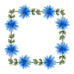 Floral frame of blue watercolor chicory flowers isolated on a white background. Hand-drawn square wreath. Delicate design with empty space for text. Wedding invitation design element. Summer bouquet