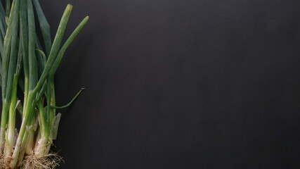 Top view of green onions on blank black background