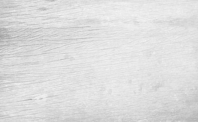 White wood texture with beautiful natural patterns in retro concept.