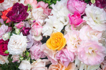満開の薔薇の花束/バラ/ローズ/一面の花/背景画像