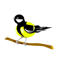A tit sitting on a branch on a white background.Vector illustration of a bird.