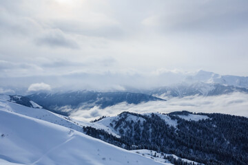 winter mountain landscape with peaks covered with snow and forest in the clouds