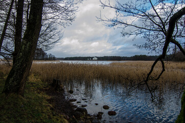 Obraz premium lake in the forest