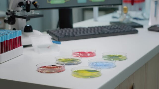 Microbiology petri dish with organic substance in laboratory placed on desk. Chemical sample plates with bacteria or liquid dna prepared for biotechnology analysis and examination