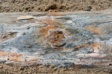rustic wooden grungy texture