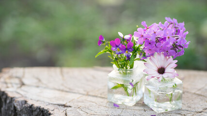 Delicate composition of purple flowers in small glass jars. Against the backdrop of nature