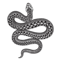 Vector illustration of black and white snake isolated on white background. Mystical totem simbol.