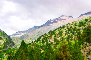 Spectacular sharpy green environment full of trees perfect for hike.